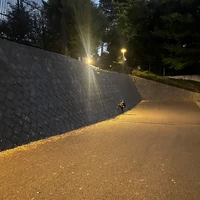 画像331