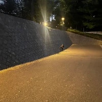画像367