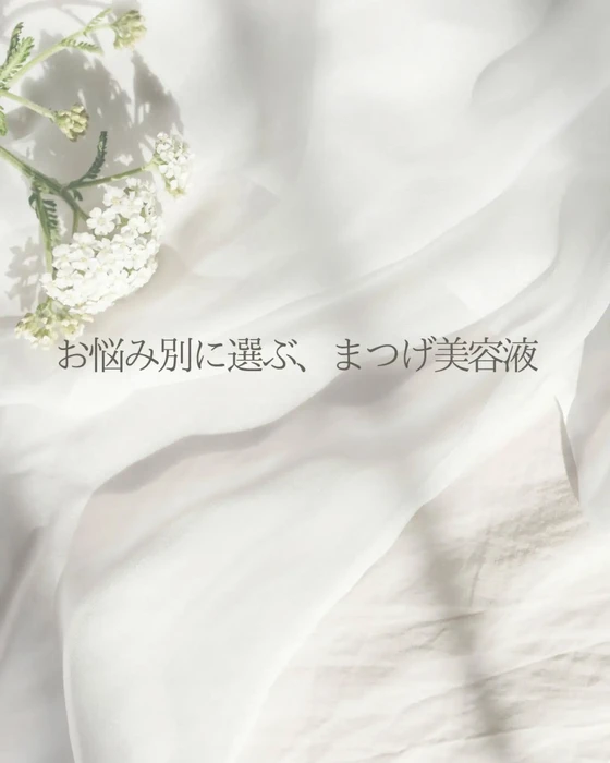 画像376