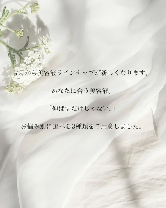 画像377